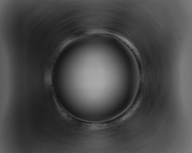 X0000100780905200806191300