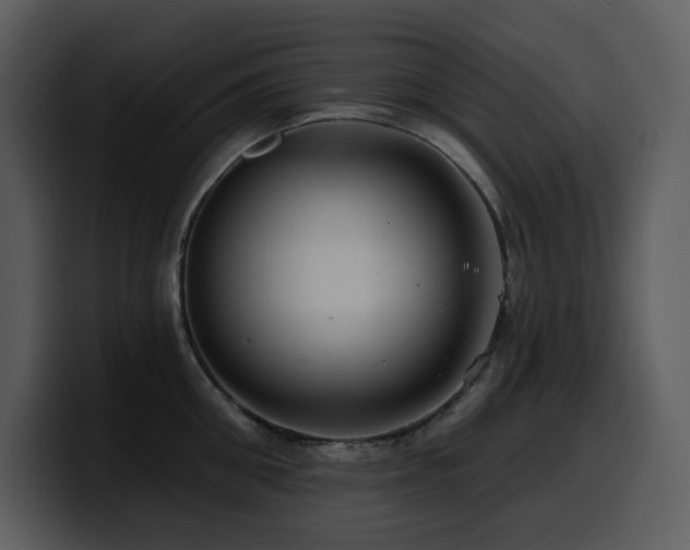 X0000100780906200806191300