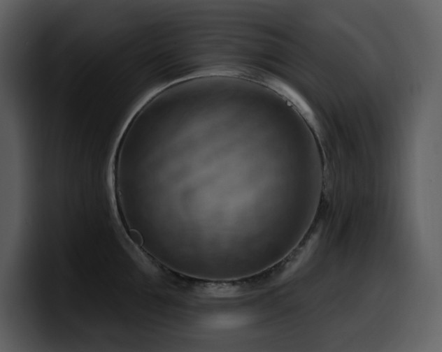 X0000100780907200806191300