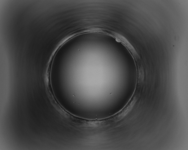 X0000100780908200806191300