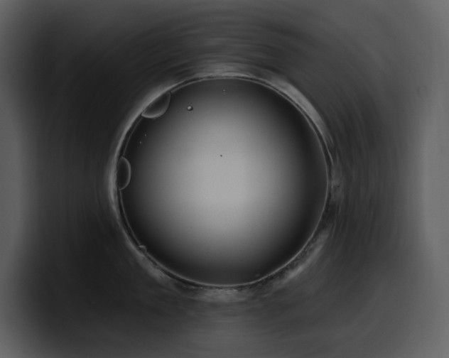 X0000100780909200806191300