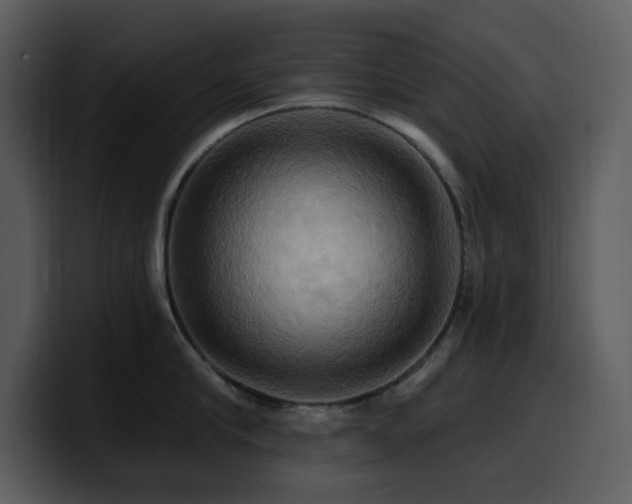 X0000100780910200806191300