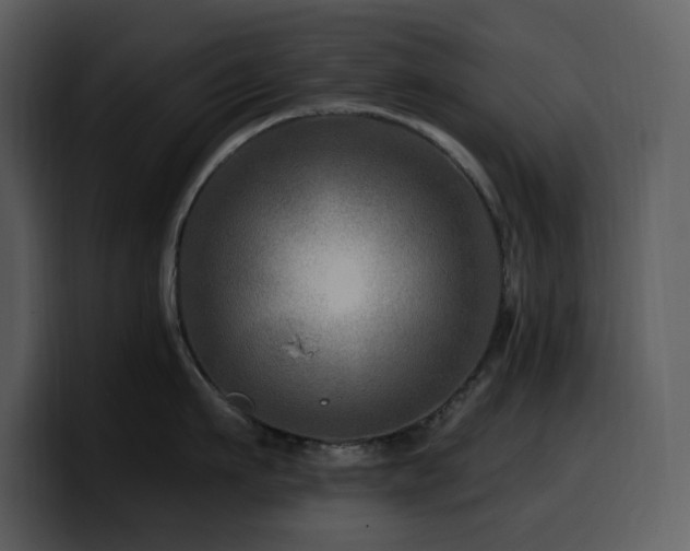 X0000100780911200806191300