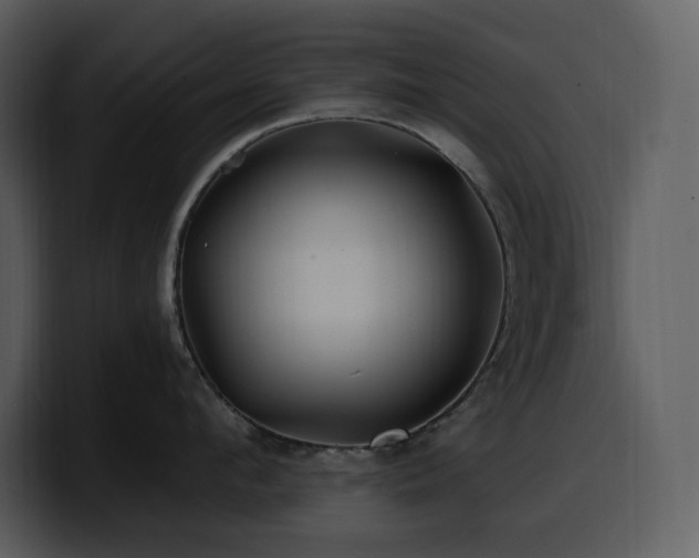 X0000100780912200806191300