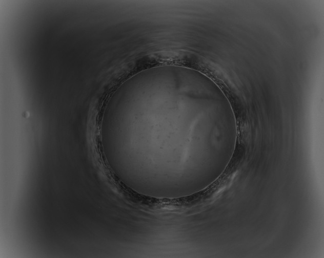 X0000100780913200806191259