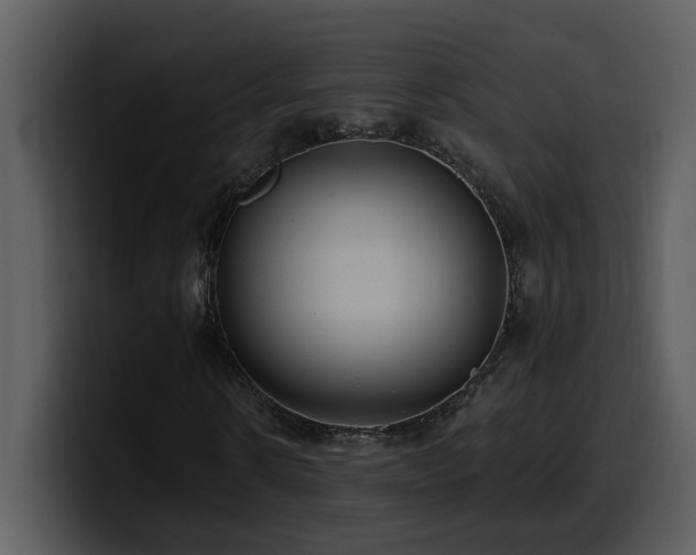 X0000100780914200806191259