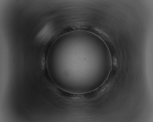 X0000100780915200806191259