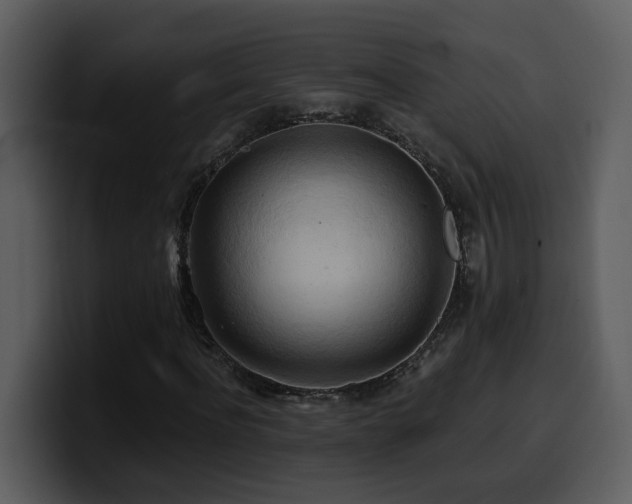 X0000100780916200806191259