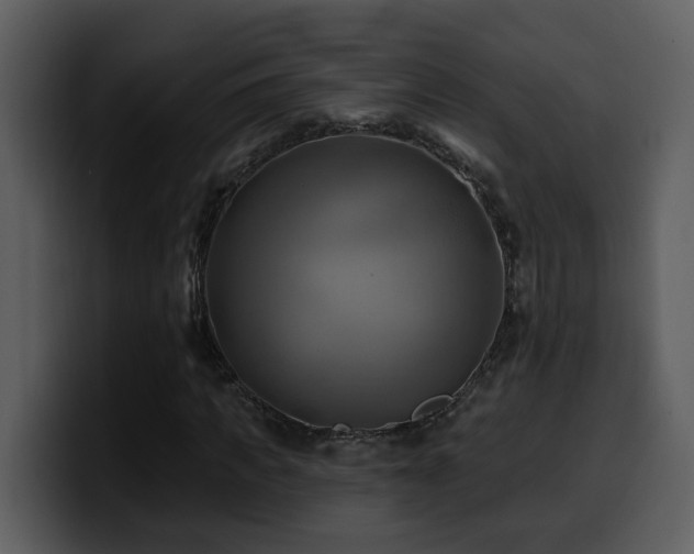 X0000100780917200806191259