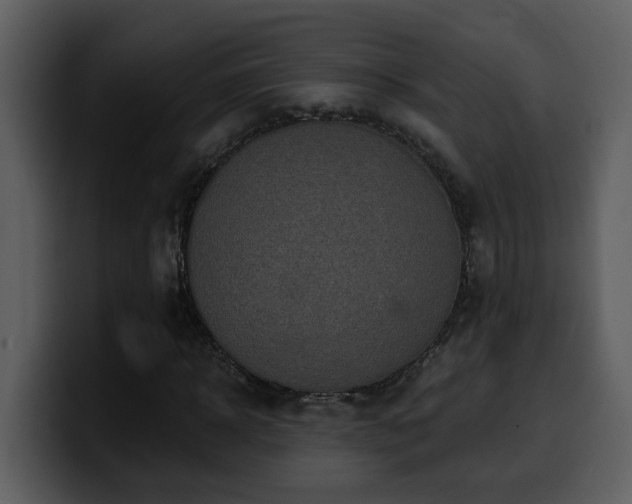 X0000100780918200806191259