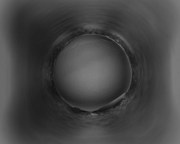 X0000100780919200806191259