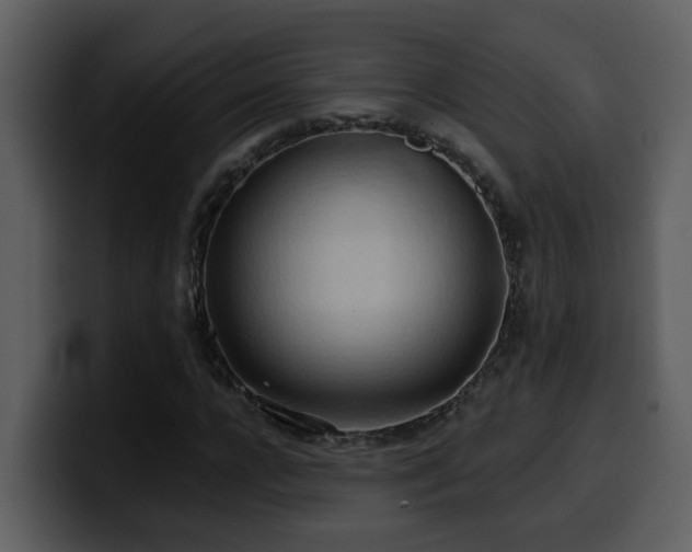 X0000100780920200806191259