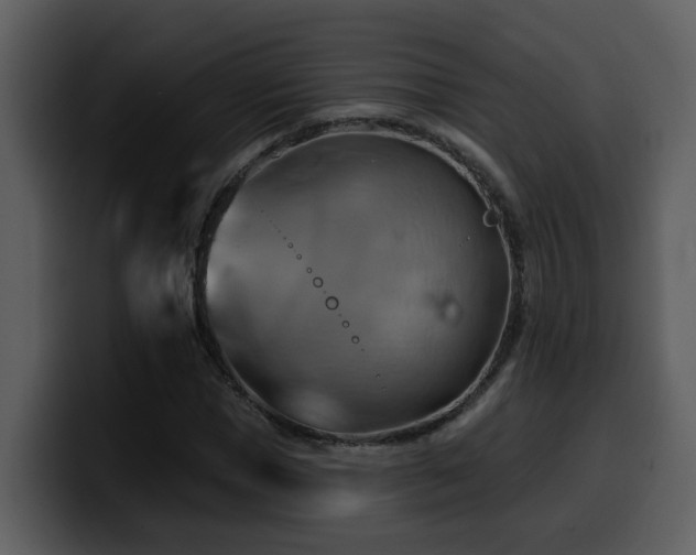 X0000100780921200806191259