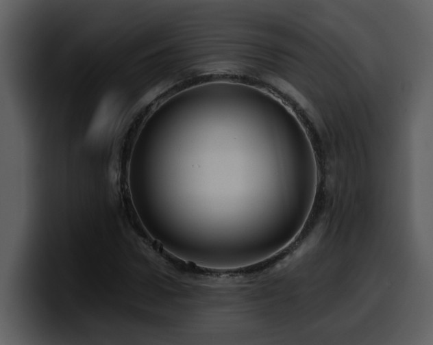 X0000100780922200806191259