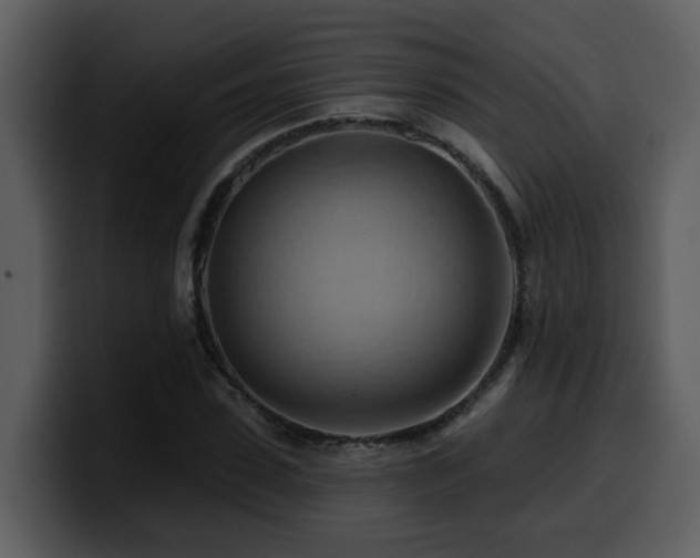 X0000100780923200806191259