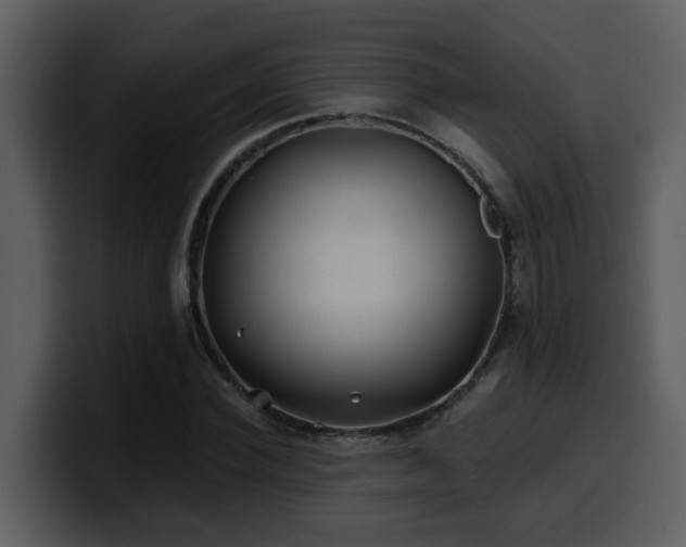 X0000100780924200806191259