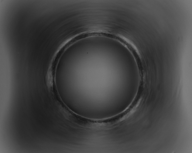 X0000100780925200806191259