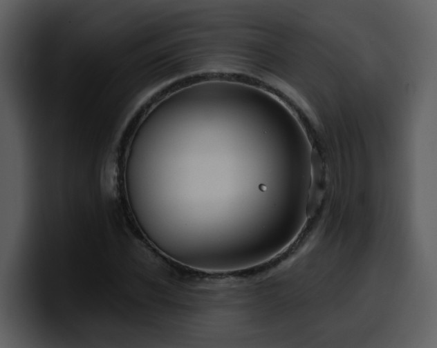 X0000100780926200806191259