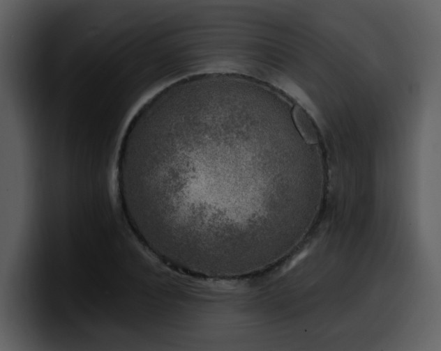 X0000100780928200806191259