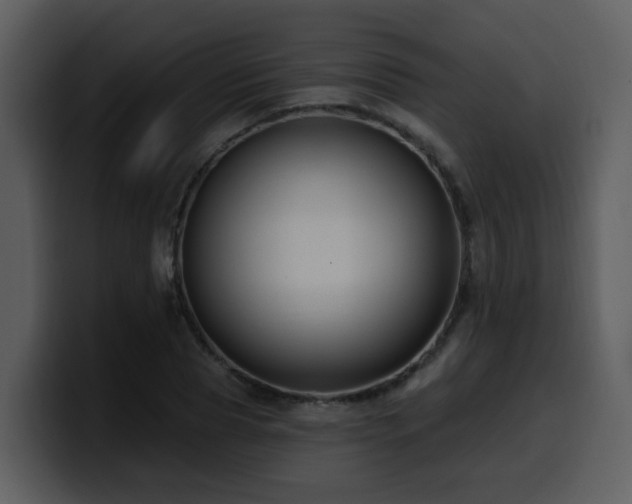 X0000100780929200806191259