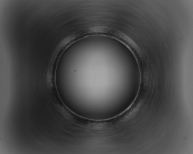 X0000100780930200806191259