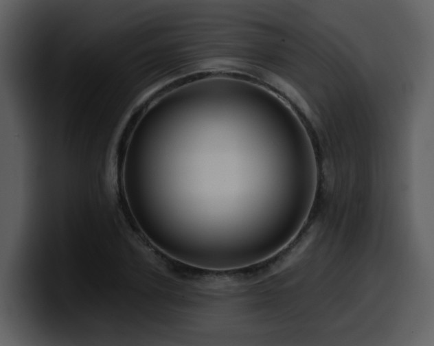 X0000100780931200806191259