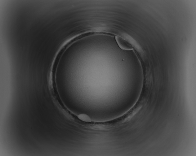 X0000100780932200806191259