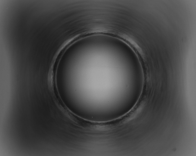 X0000100780933200806191259