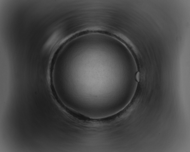 X0000100780935200806191259