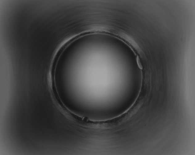 X0000100780936200806191259