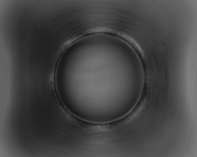 X0000100780937200806191259