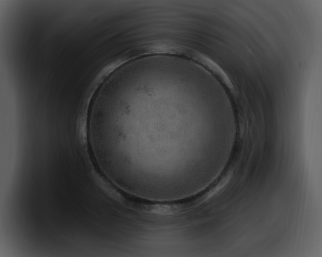 X0000100780938200806191259