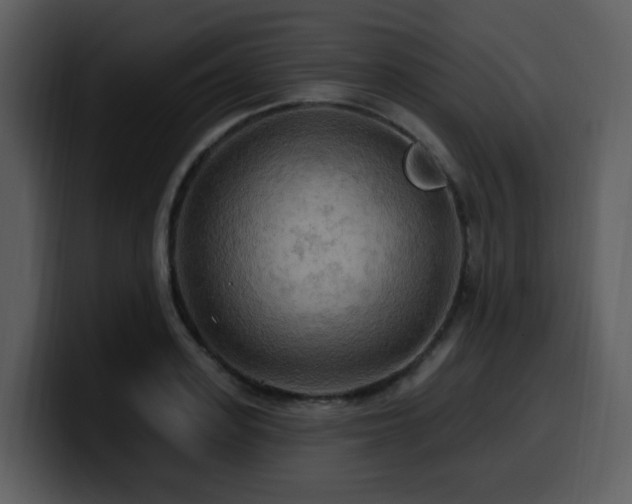 X0000100780939200806191259