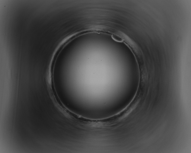 X0000100780940200806191259