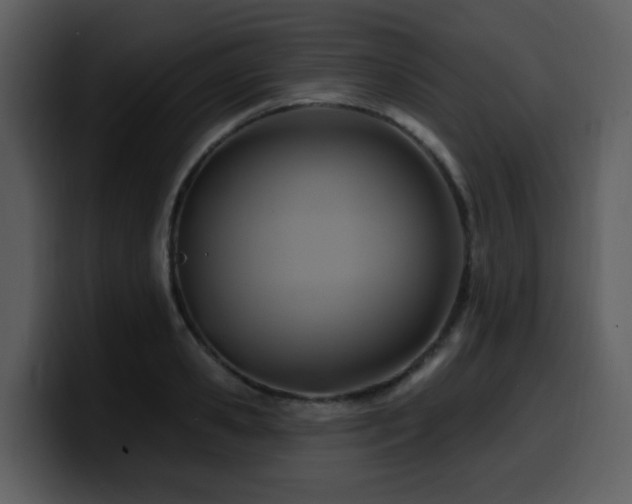 X0000100780941200806191259