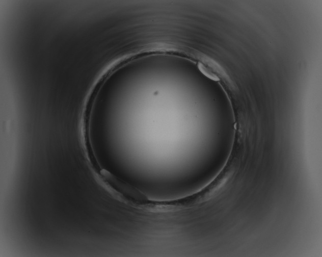 X0000100780942200806191259