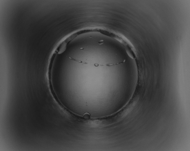 X0000100780943200806191300