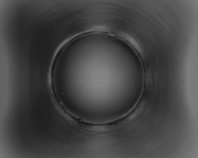 X0000100780944200806191300