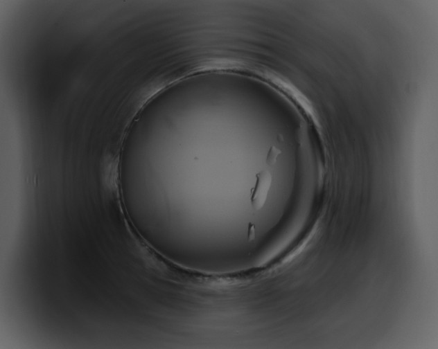 X0000100780945200806191300