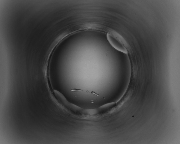 X0000100780946200806191300