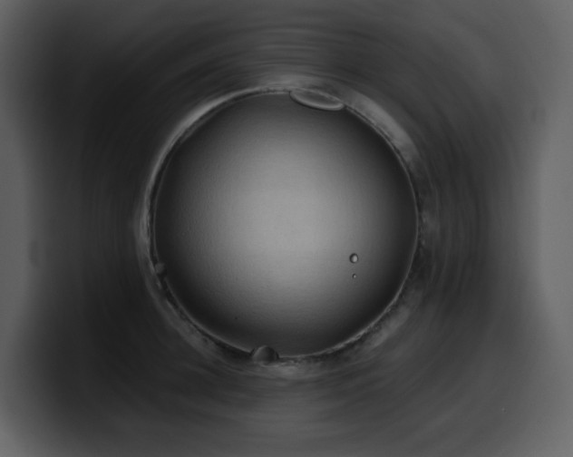 X0000100780948200806191300