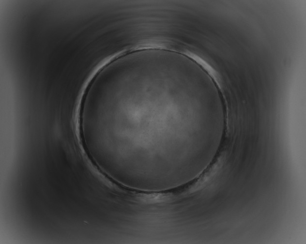 X0000100780949200806191300