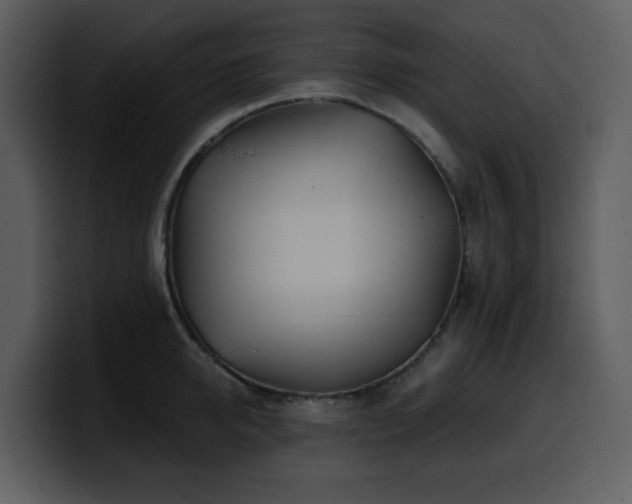 X0000100780950200806191300