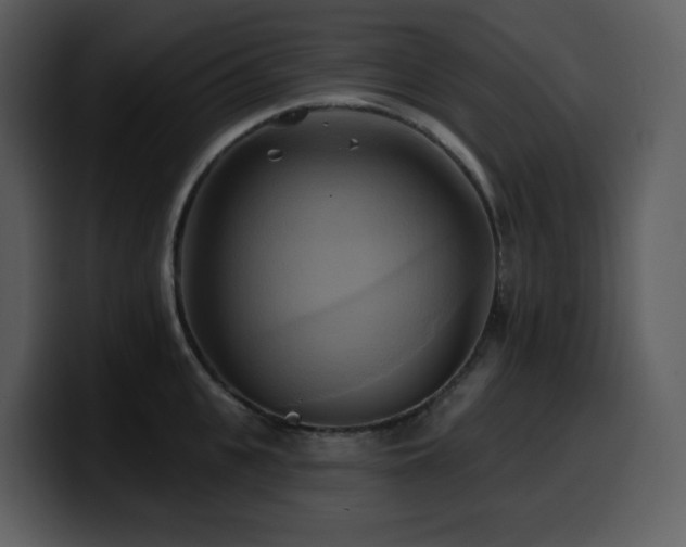 X0000100780951200806191300