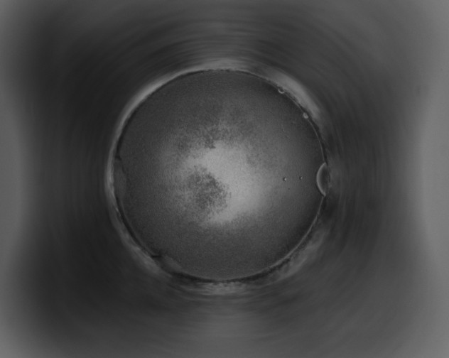 X0000100780952200806191300