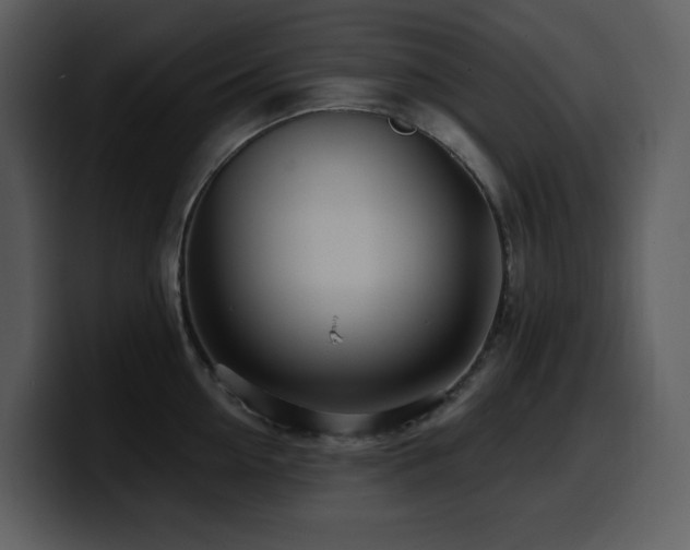 X0000100780954200806191300