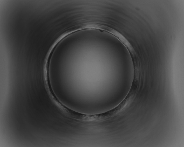 X0000100780955200806191300