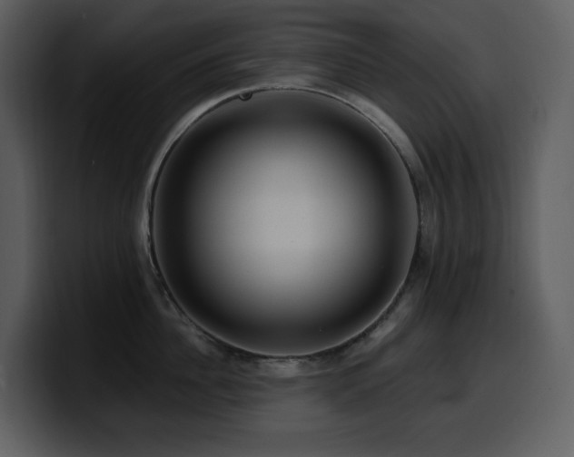 X0000100780956200806191300