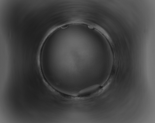 X0000100780958200806191300