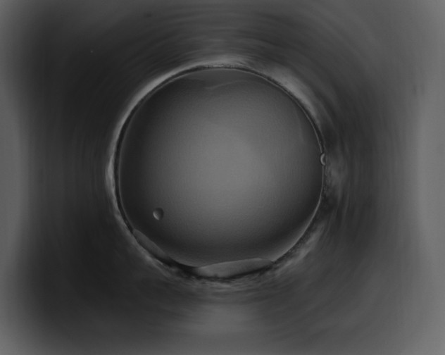 X0000100780959200806191300